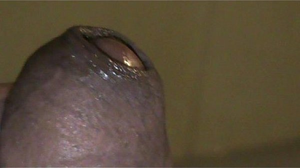 un pito para un sabroso culo