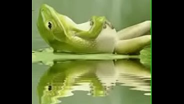 Video de v&eacute;rification  