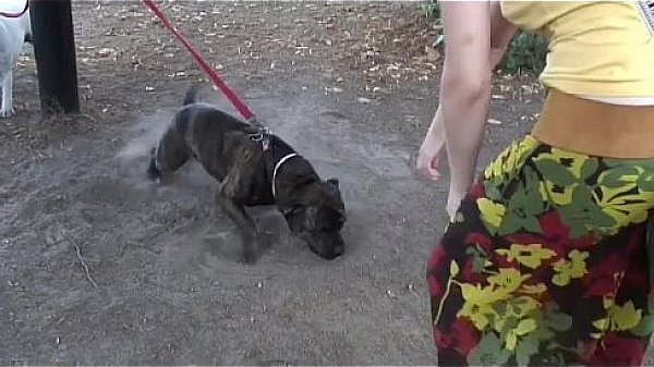 two nasty blondes suck dudes cock all naked on seas shore