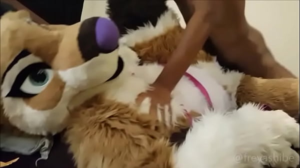 Furry babe gets dicked in missionary 