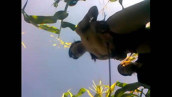 chino de san sebastian zinacatepec