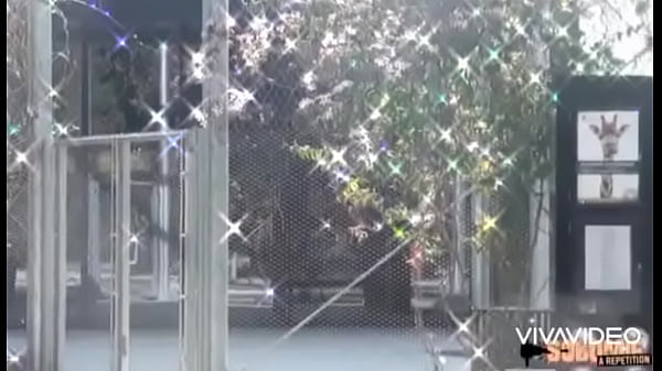 Khloe breaks Snake Halloween  