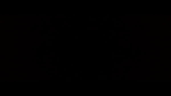 trim.B7A170ED-9385-4032-89CF-D2895E264E23.MOV