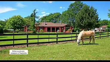 Relato Porno &ldquo;LA COMADRE SABE MONTAR VERGA&rdquo;