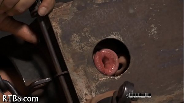 Taming a leather pet