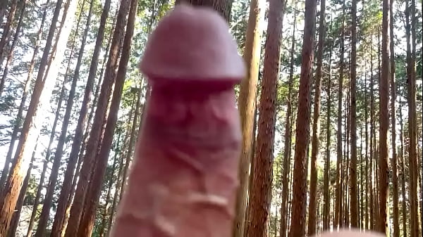 japanese 22years old penis