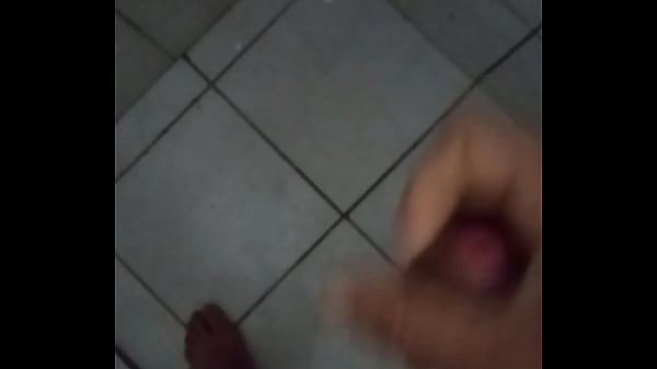 Evegaroro pela manha mais uma vez  