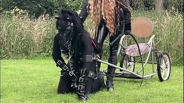 4-Day Ponyplay Training Compilation