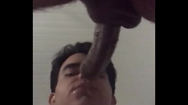 Gay putinha safada mamando at&eacute; o talo