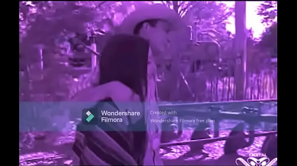 siempre te amare el gallo de oro  