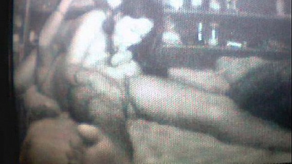 Sexy Whore Sucking Cock  