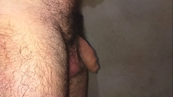 Peludo com pau endurecendo 