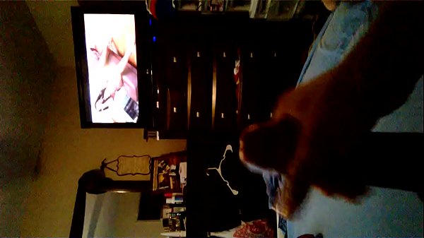 WP 20150924 09 46 38 Pro