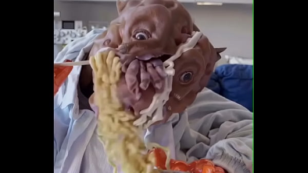 look at this cute dog