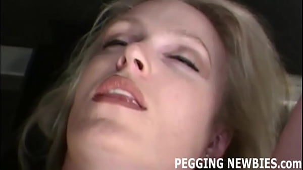 Bisexual Training and Gay Fantasy Femdom