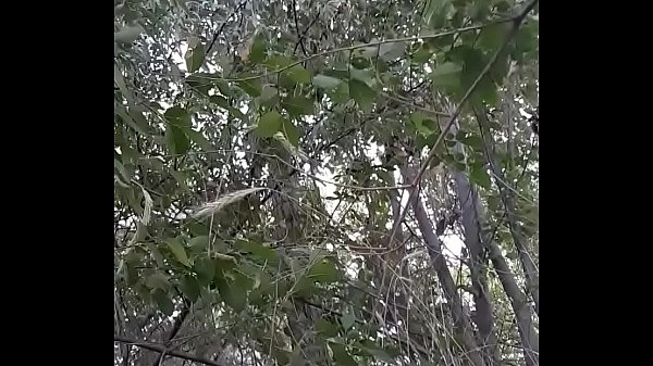 The balls said to so i did