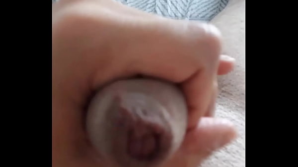 K&alpha;&lambda;&omicron;&kappa;&alpha;&iota;&rho;&iota;&nu;&omicron; &Pi;&omicron;&upsilon;&tau;&sigma;&omicron;&kappa;&epsilon;&phi;&alpha;&lambda;&omicron;