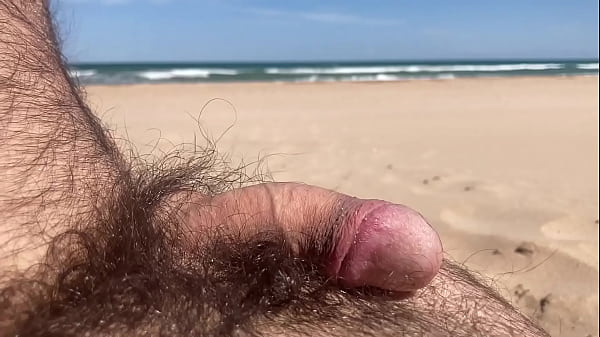 la poya disfruta de la brisa del mar