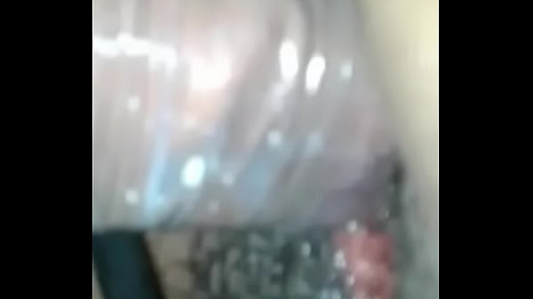 Cachera vmt 04 perrito