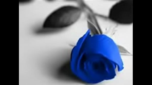 MICHAEL BOLTON, Said I loved you but I lied,  SUBT