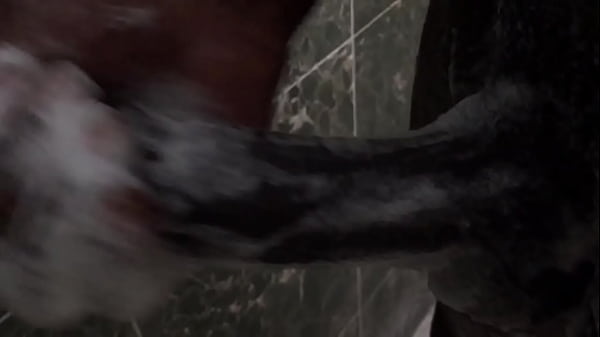 Bath time how to properly wash the D!!!