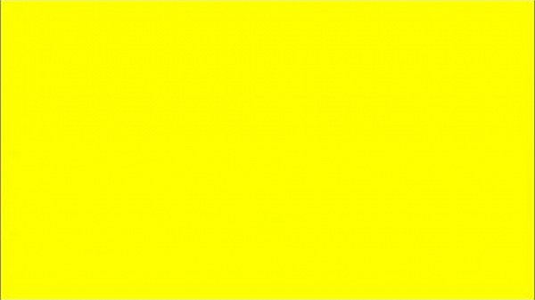 Agatha De Ville, la reine de la levrette;...