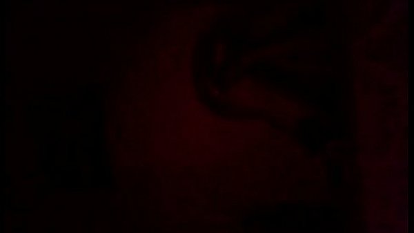 Jadira o jasmin colocha 27