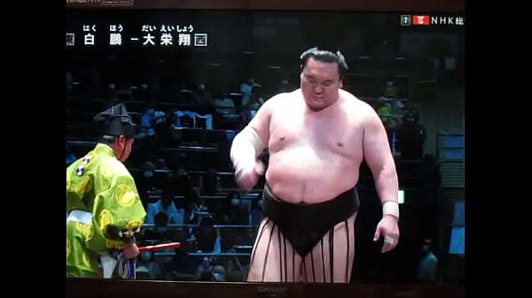 やっぱり白鵬ちゃんは八百長相撲なんだね？