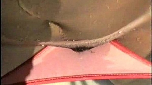 Latina in Bikini Flashes Tits at Beach