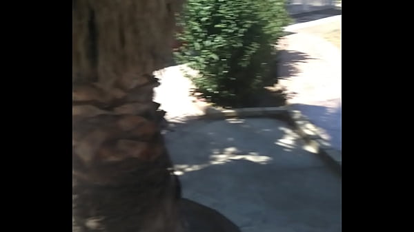 AnalEbony's Christmas message