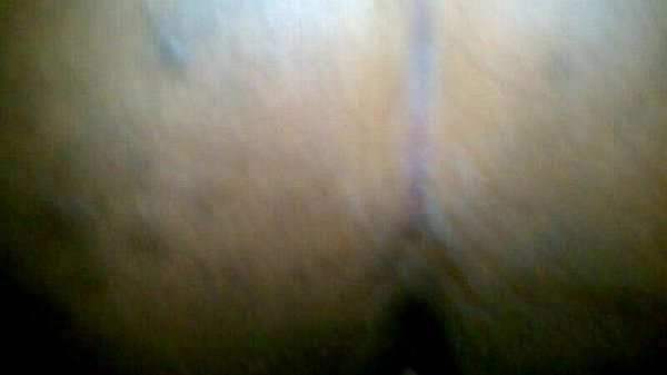 getting blown by my ex