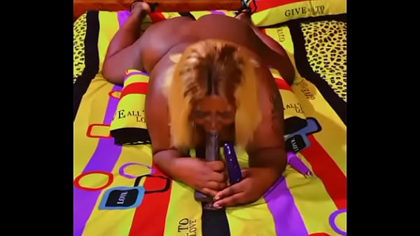 Sundaydogood614 - update #589 - VID 20241103 121322 - Nov 03, 2024 