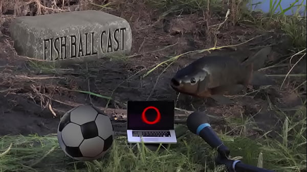 Membros do jogandofoddaci tomando esporrada 