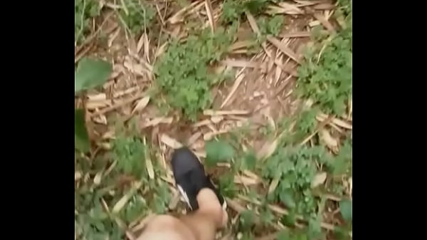 Pelad&atilde;o no meio das &aacute;rvores  