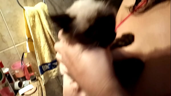 Sarah Rosa │ no Banho com Miguel ║ neste v&iacute;deo ela mostra como banhou seu gatinho Miguel 