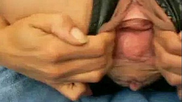 the total inspection of pussy