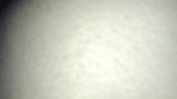 Stepsister's tight pussy