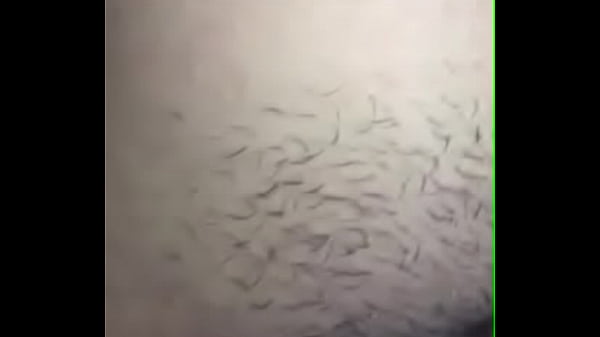 Pendeja en KIK se pajea para mi