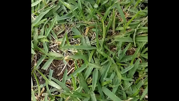 debajo de la falda de una con hilo