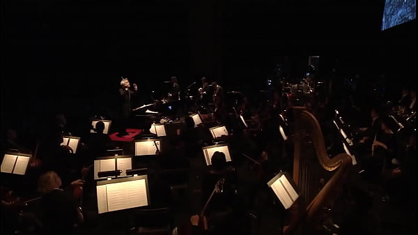 Your Name (Kimi no Na wa)  