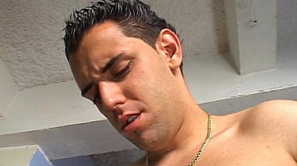 Wildlife - Fucked By A Tranny Vol3 - scene 5 - video 1