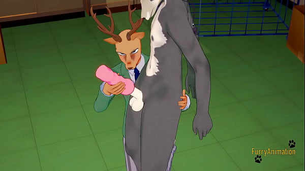 Beastar Yaoi - Louis x Legosi Sex