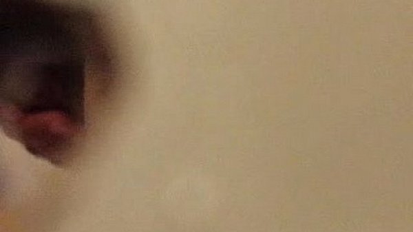 Punheteiro na Smart fit