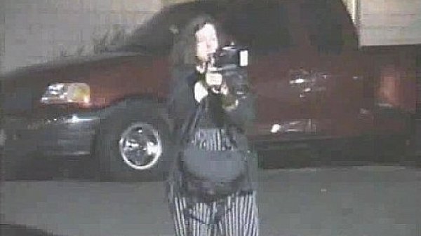 Celebrities Uncensored - Janice Dickinson