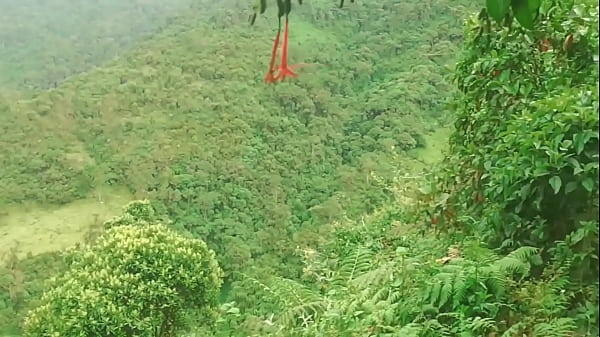 Colombianas en el Bosque Se Dan Lengua y Follan con Extra&ntilde;os Sexo A Cambio De Ayuda Economica.  