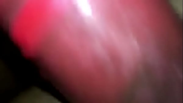 Ellechi - update #7 - 1DA41419-44A4-4EF8-BBBB-D650FCFEB46A - Jun 26, 2025