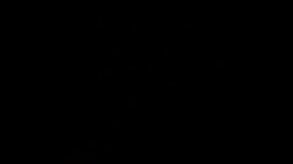 trim.7B6F4EE1-21D5-45E8-961E-F0C0AA145E46.MOV