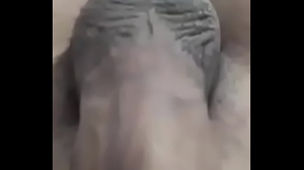 &Omicron; &Tau;&epsilon;&rho;&alpha;&sigma;&tau;&iota;&omicron;&sigmaf; &Pi;&omicron;&upsilon;&tau;&sigma;&omicron;&sigmaf; &Mu;&omicron;&upsilon;