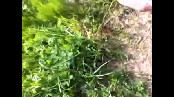 Christofer D&ouml;ss Sexual Exhibitionist