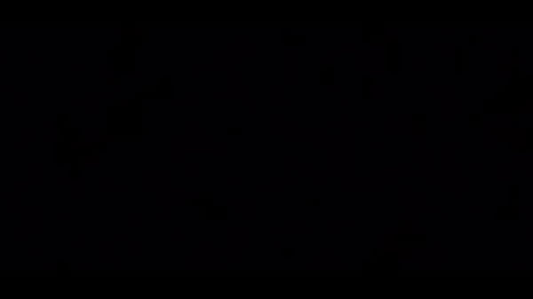 Casada quando &eacute; Liberada  